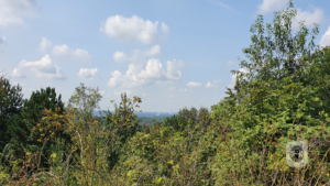 2021-08-21 – Halde-Haniel-02 (10)