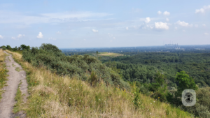 2021-08-21 – Halde-Haniel-02 (12)