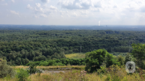 2021-08-21 – Halde-Haniel-02 (13)