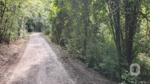 2021-08-21 – Halde-Haniel-02 (2)