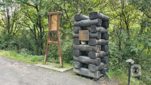 2021-08-21 – Halde-Haniel-02 (3)