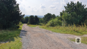 2021-08-21 – Halde-Haniel-02 (7)