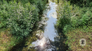 2021-09-12 – Landschaftspark-DU (2)