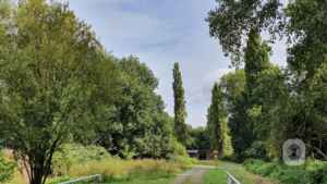 2021-09-12 – Landschaftspark-DU (3)