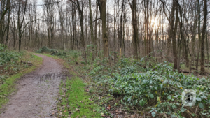 2021-12-31 – Revierpark-OB-BOT (1)