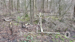 2021-12-31 – Revierpark-OB-BOT (10)