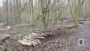 2021-12-31 – Revierpark-OB-BOT (11)