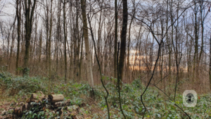 2021-12-31 – Revierpark-OB-BOT (2)