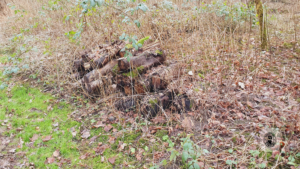 2021-12-31 – Revierpark-OB-BOT (5)